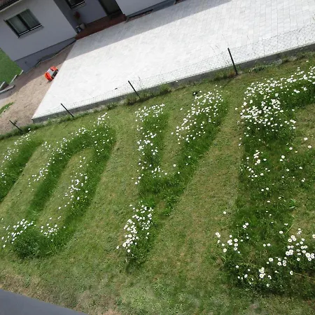 Zeit Fuer Dich