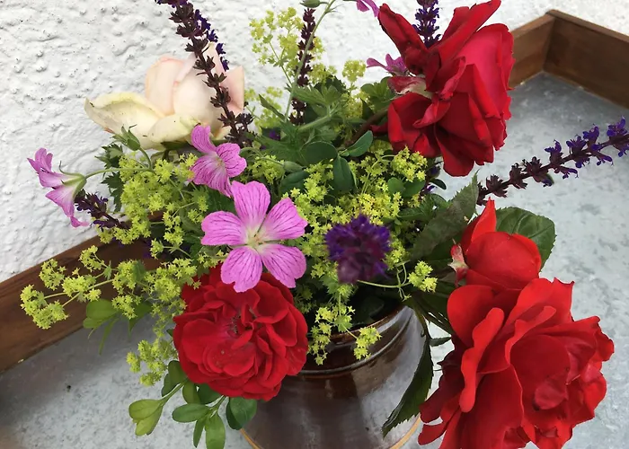 Zeit Fuer Dich Appartement Himmelkron